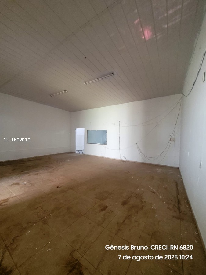 Depósito-Galpão - Foto 4